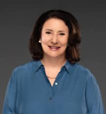 Diane Honda Barracuda Networks