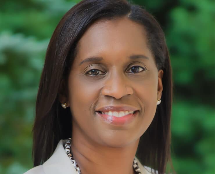 Joaquina Borges King Everysource Energy