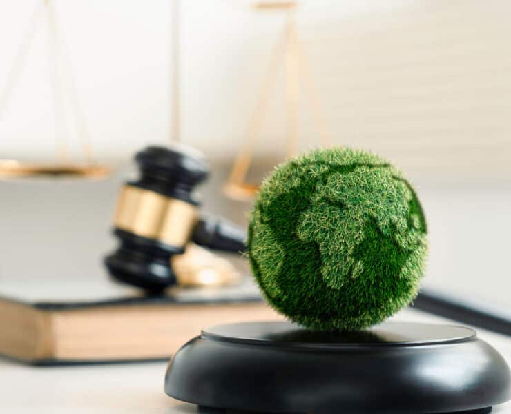 Heidi Naunton. Paramount Global