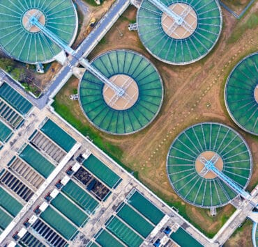 Terilyn Dumas Solenis