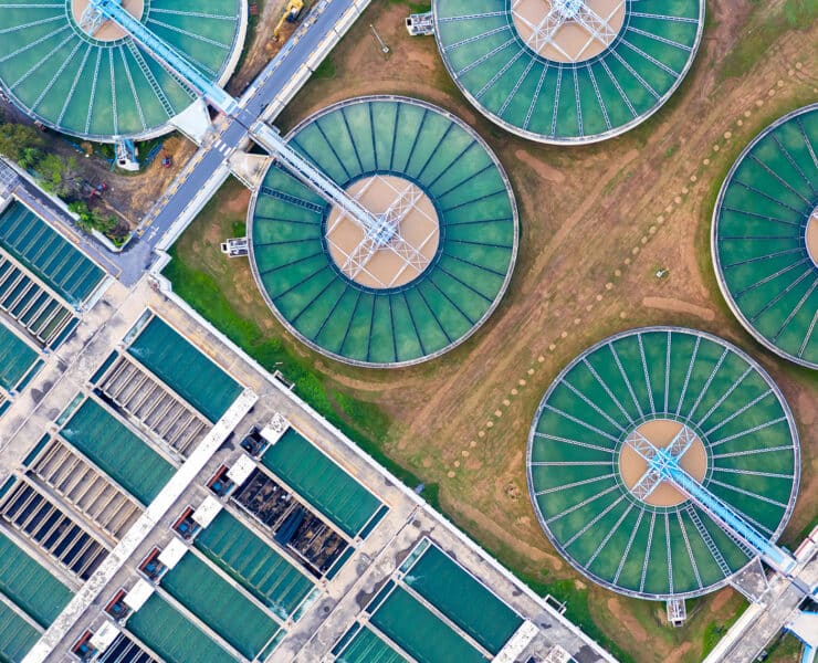 Terilyn Dumas Solenis