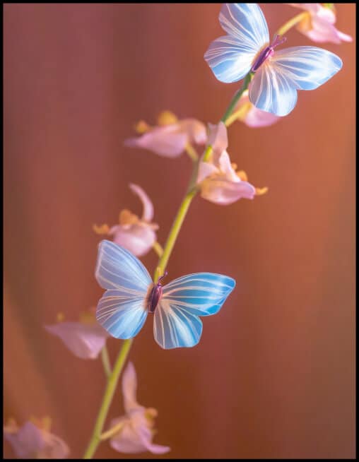 mc40-dc-flower-footer