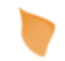 mc40-dc-orange-petal01