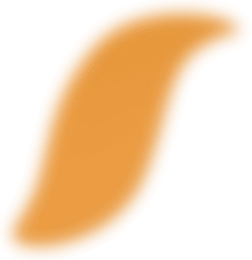mc40-dc-orange-petal02