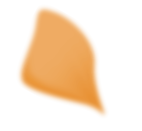 mc40-dc-orange-petal03
