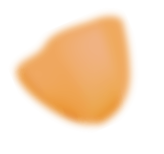 mc40-dc-orange-petal04