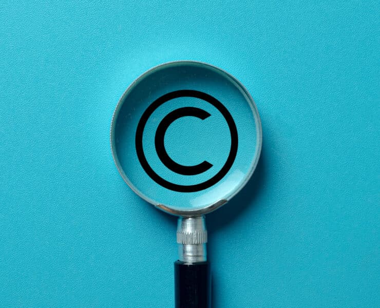 Stephen Shaw Netflix